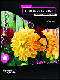 HTML5 Book